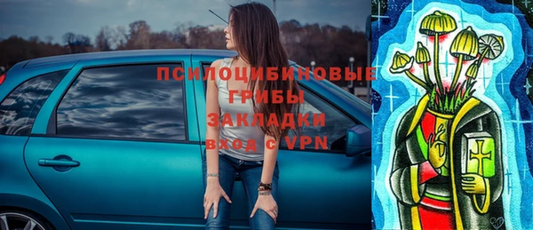 СК Арсеньев