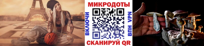 omg зеркало Валуйки Псилоцибиновые грибы мицелий