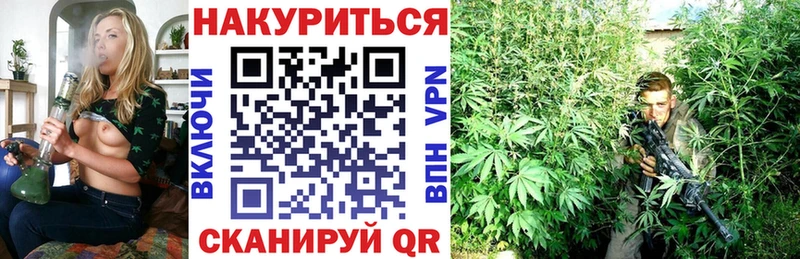 Каннабис сатива Валуйки